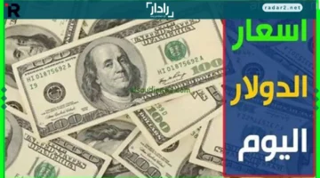 سعر الدولار في بنك الإسكندرية اليوم الأحد 47.49 جنيه للشراء
